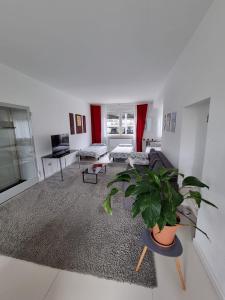 a living room with a couch and a potted plant at Schönes modernes Loft in Essen - Südviertel in Essen