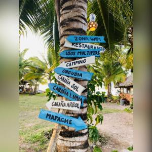 Un certificado, premio, letrero u otro documento en Cayuco Maya