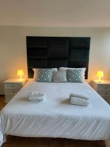 uma grande cama branca com duas almofadas em Villa Martini dei Rossi em Sanfrè