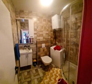 a small bathroom with a toilet and a shower at Arabeska Majeli in Rukavac