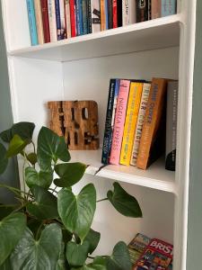 a book shelf filled with books next to a plant at Elegant well appointed maisonette 105m2 in Bath