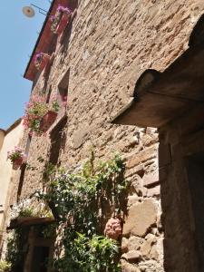 a stone building with potted plants on the side of it at LA BOTTEGA DEL CALZOLAIO in Castiglion Fibocchi