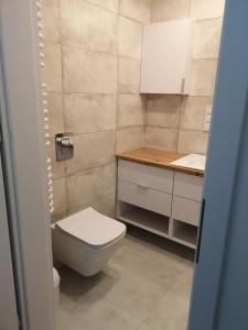 Baño pequeño con aseo y lavamanos en Apartament Dorka, en Rogowo