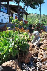 Vonkajšia záhrada v ubytovaní Casa Shanti La Palma