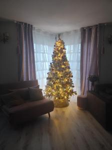 Posezení v ubytování Gite Luxury à Soultzeren