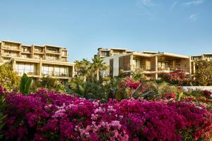 um jardim com flores rosas em frente aos prédios em Chileno Bay Resort & Residences, Auberge Collection em Cabo San Lucas