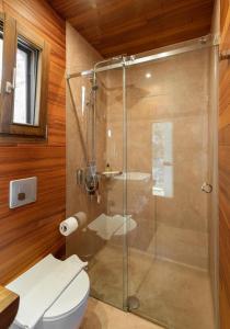 a bathroom with a shower with a toilet and a sink at iHouse Paliouri in Paliouri