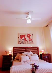 a bedroom with a bed and a ceiling fan at Casa con Encanto,disfruta de su paz y tranquilidad in Adzaneta