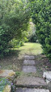 Foto dalla galleria di 4 Bedroom House in the Heart of St Andrews a St Andrews Altre 10 foto