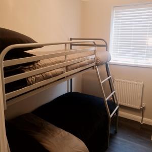 a bunk bed in a room with a ladder at Newly refurbished Falmouth town centre apartment in Falmouth