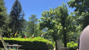 Campeggio il Bosco外面的花园