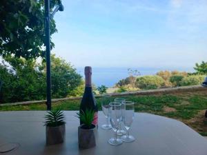Extraordinaire guest house sur la route de Pozzo في Brando: طاولة مع كؤوس للنبيذ وزجاجة من النبيذ
