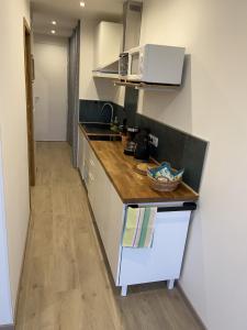 eine Küche mit einer Arbeitsplatte und einem Waschbecken in der Unterkunft Farfalla in Calvi