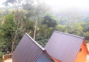 山林小屋周边自然景观