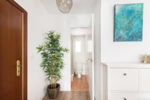 Fotografie z fotogalerie ubytování El Hogar de Betania v destinaci Madrid