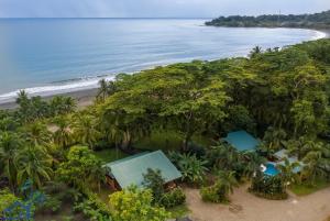 an aerial view of the beach and the ocean at Beachfront Villas Puerto Viejo w AC and POOL in Puerto Viejo