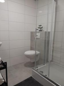 a bathroom with a toilet and a shower with a plant at Annalisa Guest House Centrum in Enschede