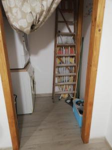 Biblioteka w apartamencie