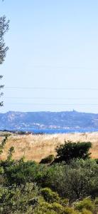 - une vue sur l'océan depuis une colline arborée dans l'établissement Sardinia82 Sunsetplace, à Palau