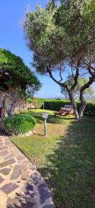 un parc avec un arbre et une boulette dans l'herbe dans l'établissement Sardinia82 Sunsetplace, à Palau