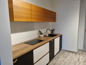 a kitchen with a sink and wooden cabinets at Apple Apartments - Gdańska PRYWATNE MIEJSCE PARKINGOWE in Łódź