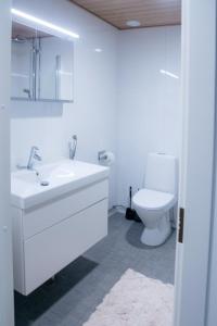 a white bathroom with a sink and a toilet at Huoneisto Tampereen paraatipaikalla. 14. kerros. in Tampere