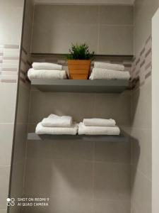a bathroom with shelves with towels and a plant at Guimar in Avilés