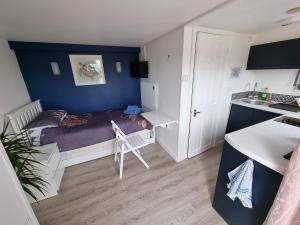 a small room with a bed and a kitchen at Lovely private studio room with own kitchen and bathroom. Set in the popular area of Shiphay in Torquay and only a short walk from Torbay Hospital in Torquay