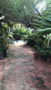 Giardino di Magical Garden