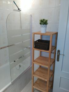 a bathroom with a shower and a wooden shelf with a plant at Apto para Vacaciones con WIFI in Chipiona
