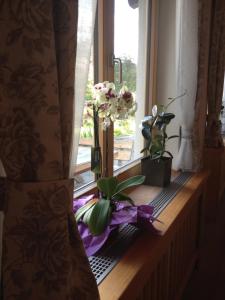 a window with flowers on a window sill at Hotel Aquamarin in Bad Mitterndorf