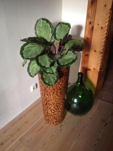 a potted plant sitting next to a green vase at Hotel Aquamarin in Bad Mitterndorf