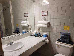 a bathroom with a sink and a toilet and a mirror at Roadking Inns Motel in Calgary