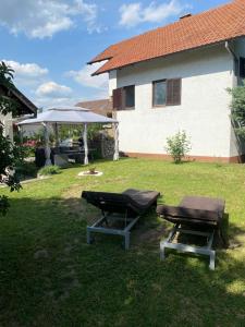 Aed väljaspool majutusasutust Simsir villa Novi Sad wifi