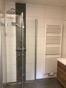 a shower with a glass door in a bathroom at Bauernhof Podorn in Sankt Kanzian
