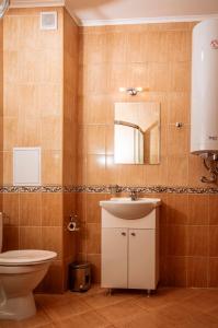 bagno con servizi igienici, lavandino e specchio di Stand'Art - апартамент , Смолянски езера a Smoljan