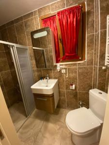 アグヴァにあるAğva Heaven Hill Butik Otelのバスルーム(トイレ、洗面台、赤いカーテン付)