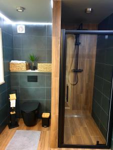 a bathroom with a shower with green tiles at Trzy Szczyty-Turbacz in Grywałd