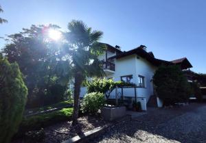 a palm tree in front of a white house at Bühel im Gschleier in Appiano sulla Strada del Vino