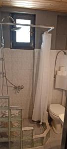a bathroom with a shower curtain and a toilet at Poseidon room's Vourvourou in Vourvourou