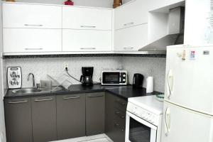 Kuchyňa alebo kuchynka v ubytovaní Koukaki sunshine roof apartment