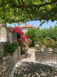 a garden with pink flowers and a building at Sergios Village House in Chania