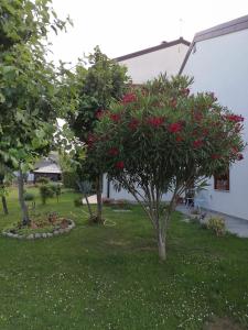 Zahrada ubytování Casa MI-RE-LA