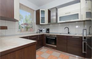Kuchyň nebo kuchyňský kout v ubytování Nice Home In Vinjani Gornji With Kitchen