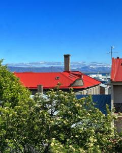 un toit rouge sur un bâtiment avec des arbres au premier plan dans l'établissement Hotel Local 101, à Reykjavik