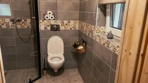 łazienka z toaletą i prysznicem w obiekcie Magiczny Przystanek w mieście Myczków