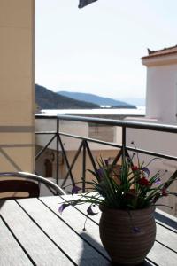 a potted plant sitting on a table on a balcony at Hara's Studio in Perdika