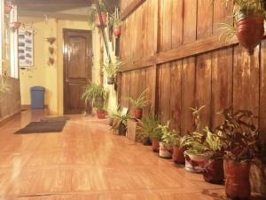 Foto de la galeria de Eco Aventura Hostel Cusco a Cusco
