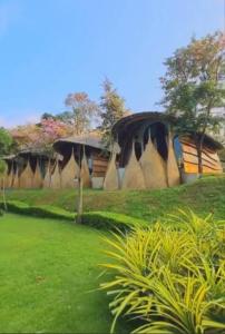 a house in the middle of a grass field at Binlha Raft Resort in Sai Yok