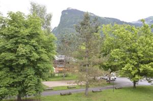 a view of a park with trees and a road at DOMAINE DU GRAND TETRAS SAMOENS in Samoëns +13 photos